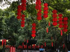 -忠山公园