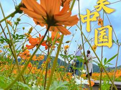 -径山花海