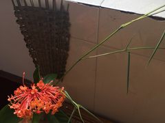 -弘法寺斋菜馆素食
