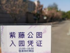 -嘉定紫藤园