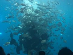 -瑞德姆美人鱼海底演艺主题餐厅(亚龙湾店)