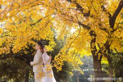 点击看大图 -维纳斯婚纱摄影(鞍山店)