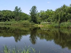 -澹台湖公园
