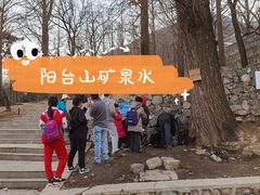 -阳台山自然风景区