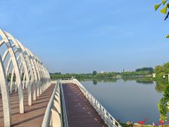 -大兴滨河森林公园