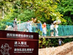 -西双版纳原始森林公园