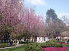 -温江公园