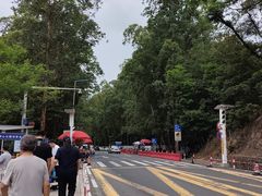 -田心森林公园