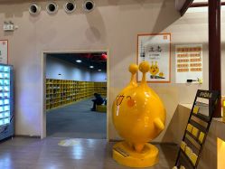 -疯狂的麦咭(长沙店)