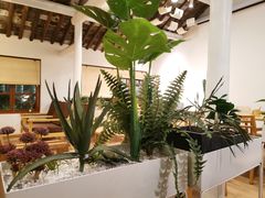 -猫的天空之城概念书店(苏州平江店)