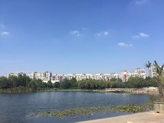 -新江湾城公园