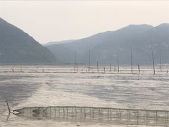 -北岐滩涂