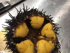 -鲤·鮨KOISUSHI