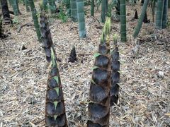 -苏州河梦清园环保主题公园