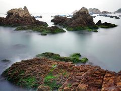 -枸杞岛