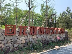 -回龙观体育文化公园
