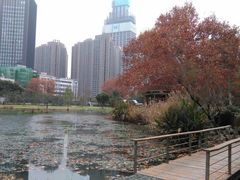 景点-解放公园