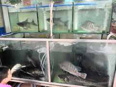 -顺德鱼庄(清布市场店)