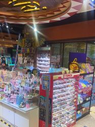 -卡通尼·Safari非洲探索乐园·生日会(金桥国际商业广场店)