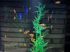 -成都浩海立方海洋公园