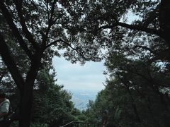 -惠山国家森林公园