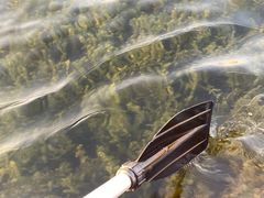 -洋湖国家湿地公园