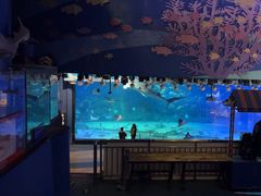 -烟台海昌鲸鲨海洋公园