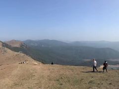 -大姆山草场