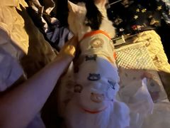 -美联众合爱康动物医院•复杂内科•肿瘤科•牙科•腔镜诊疗中心