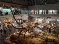 -自贡恐龙博物馆