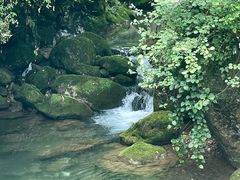 -青城山