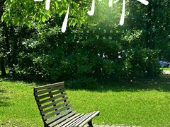 -上海共青森林公园