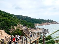 -广东惠东海龟国家级自然保护区