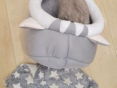 -Let's go狗咖·猫咖·奶狗·桌游(春熙路IFS店)