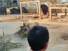 -昆明动物园