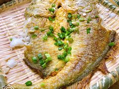 香煎马头鱼-和记菜馆