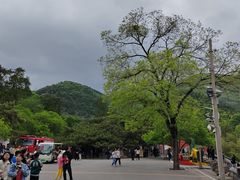 -潭柘寺景区