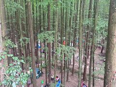 -山王坪喀斯特国家生态公园