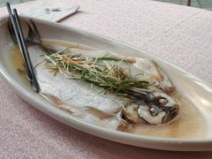 清蒸太湖白鱼-天福苑(崇宁路店)