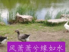 -内蒙古自治区国际蒙医医院(总院)