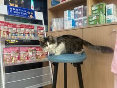 -美迦爱-牙专科·兔科·骨科诊疗中心(北苑店)