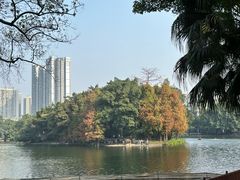 -荔湾湖公园