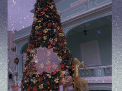 -龙环葡韵住宅式博物馆