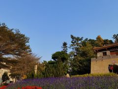 -深圳国际园林花卉博览园