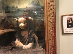 -济州岛泰迪熊博物馆