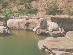 -太原动物园