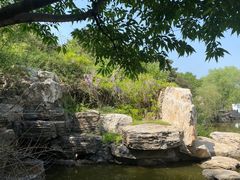 -北京西山国家森林公园