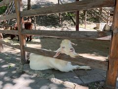 -北京鹿世界主题园