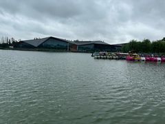 -上海长兴岛郊野公园