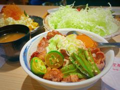 -堂本家·二代目·炸猪排(Express东海店)